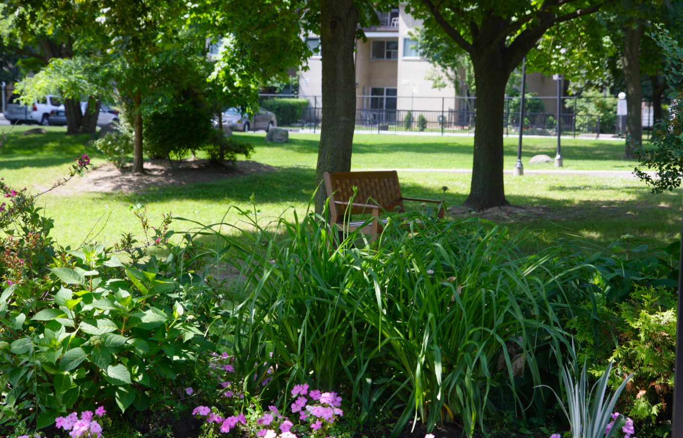 Garden Beds 
