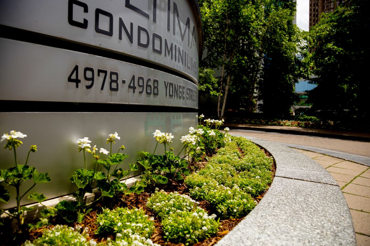 Yonge Street Condominium