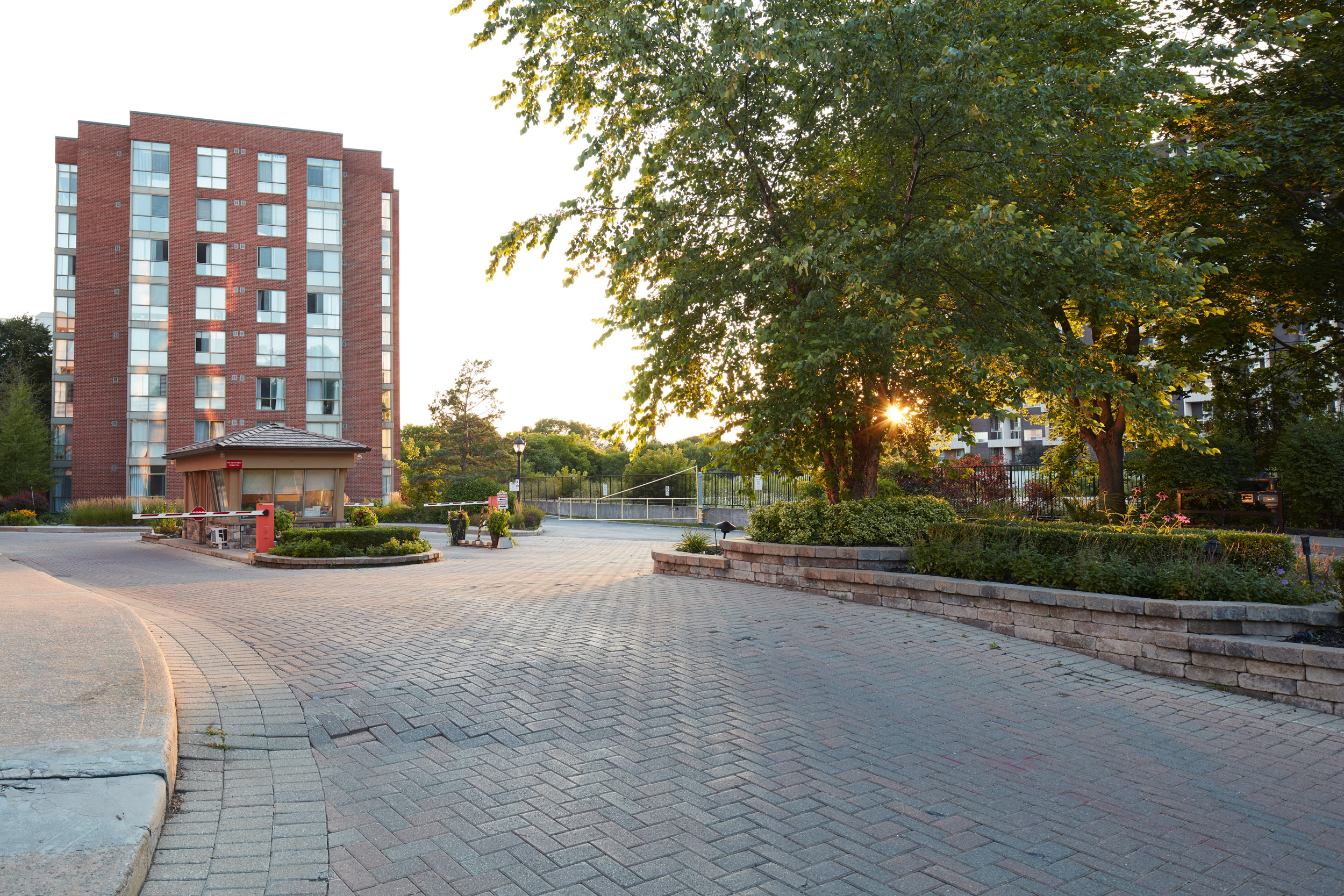 Side angle view of building and garden beds