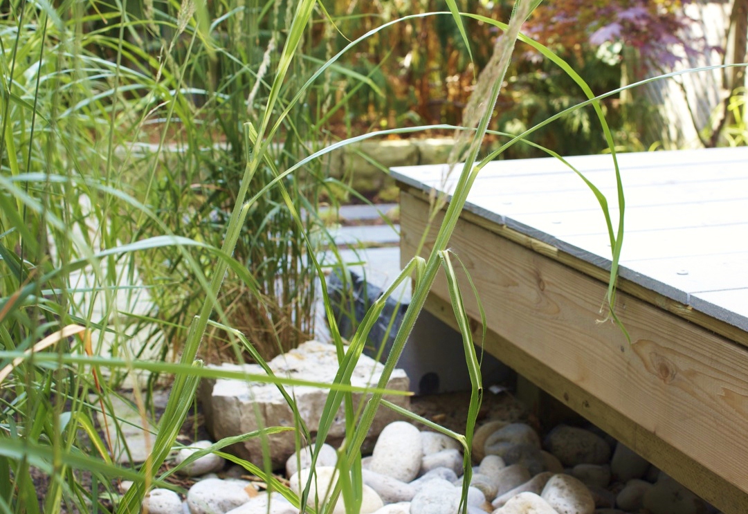 Tall Grases within stone beds for stormwater runoff