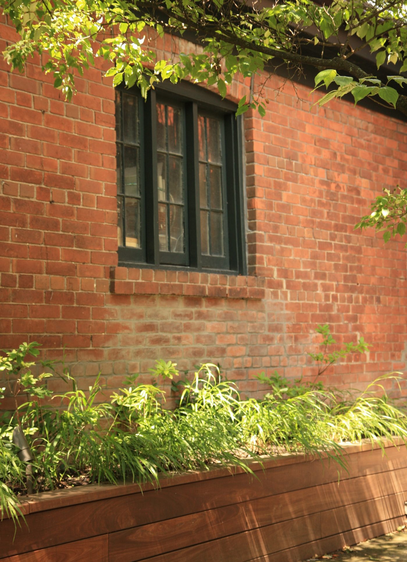 Retaining Wall Containing Grasses