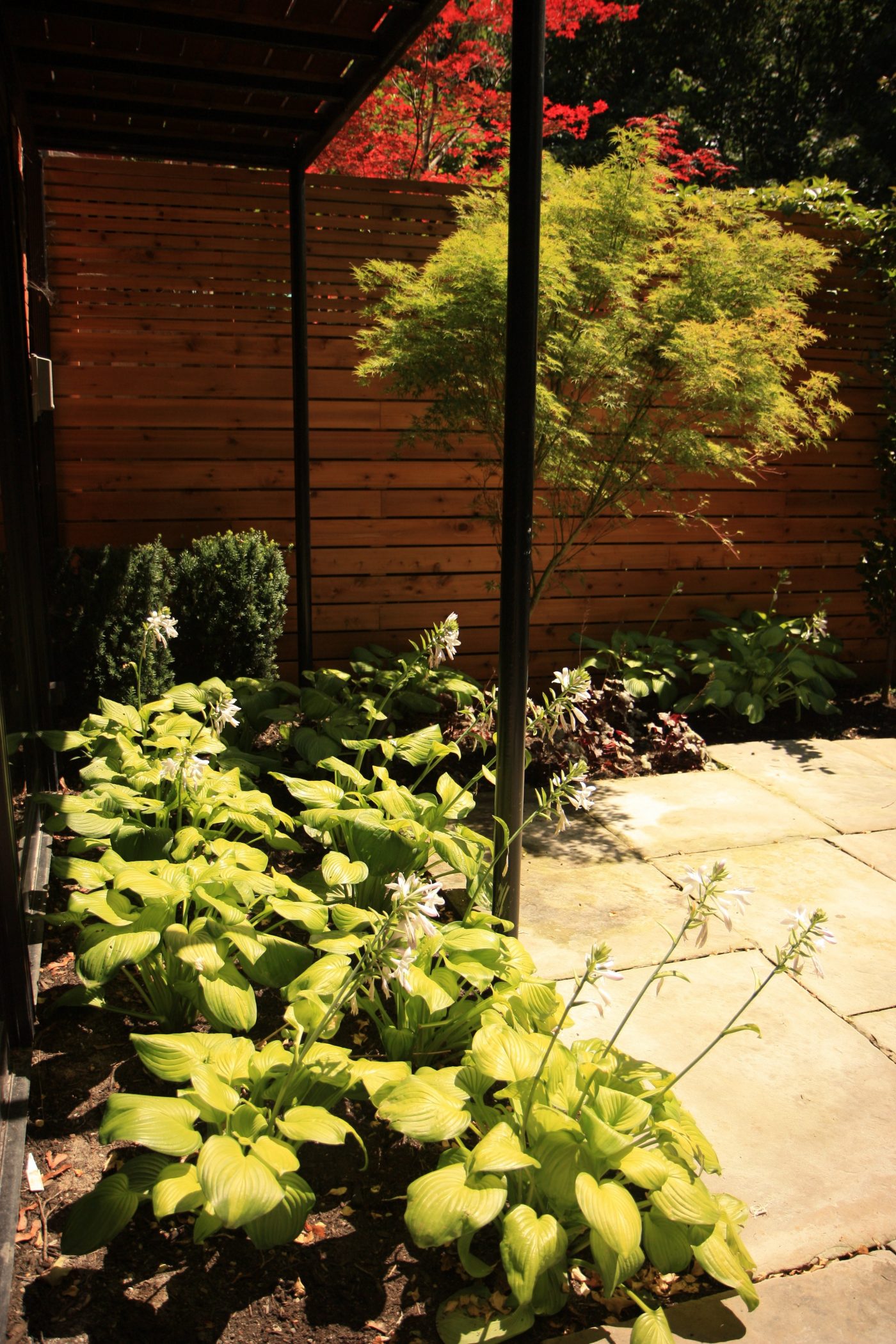Beautiful garden beds alongside custom built fence