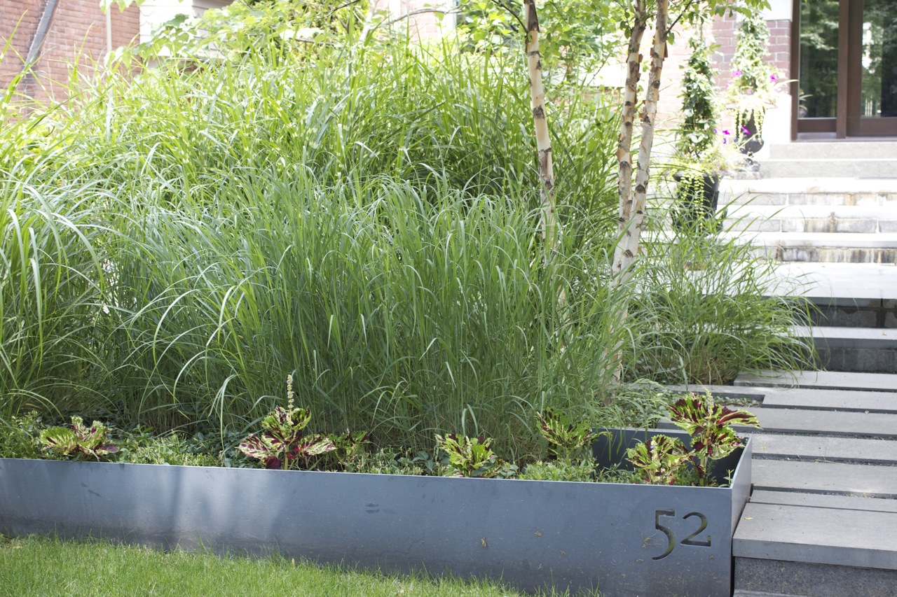 Ornate Metal Planters with tall grasses contained inside
