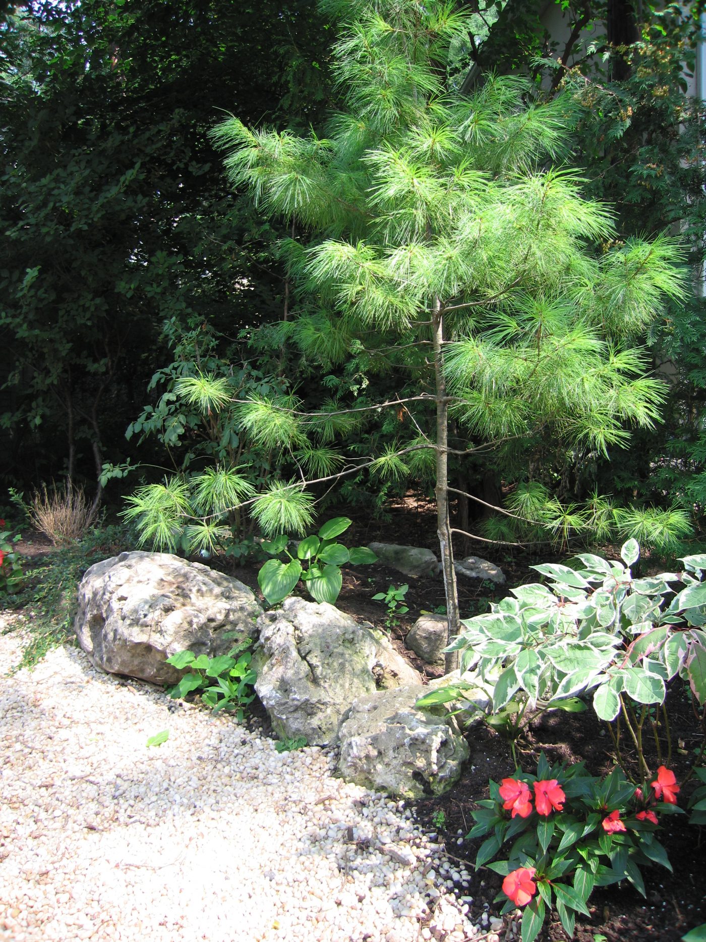 Natural garden beds with river rock