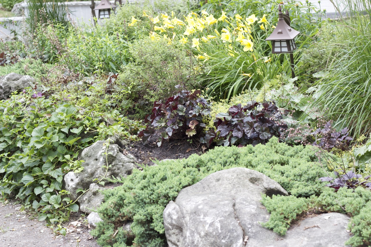 Different angle of natural gardens with Ivy