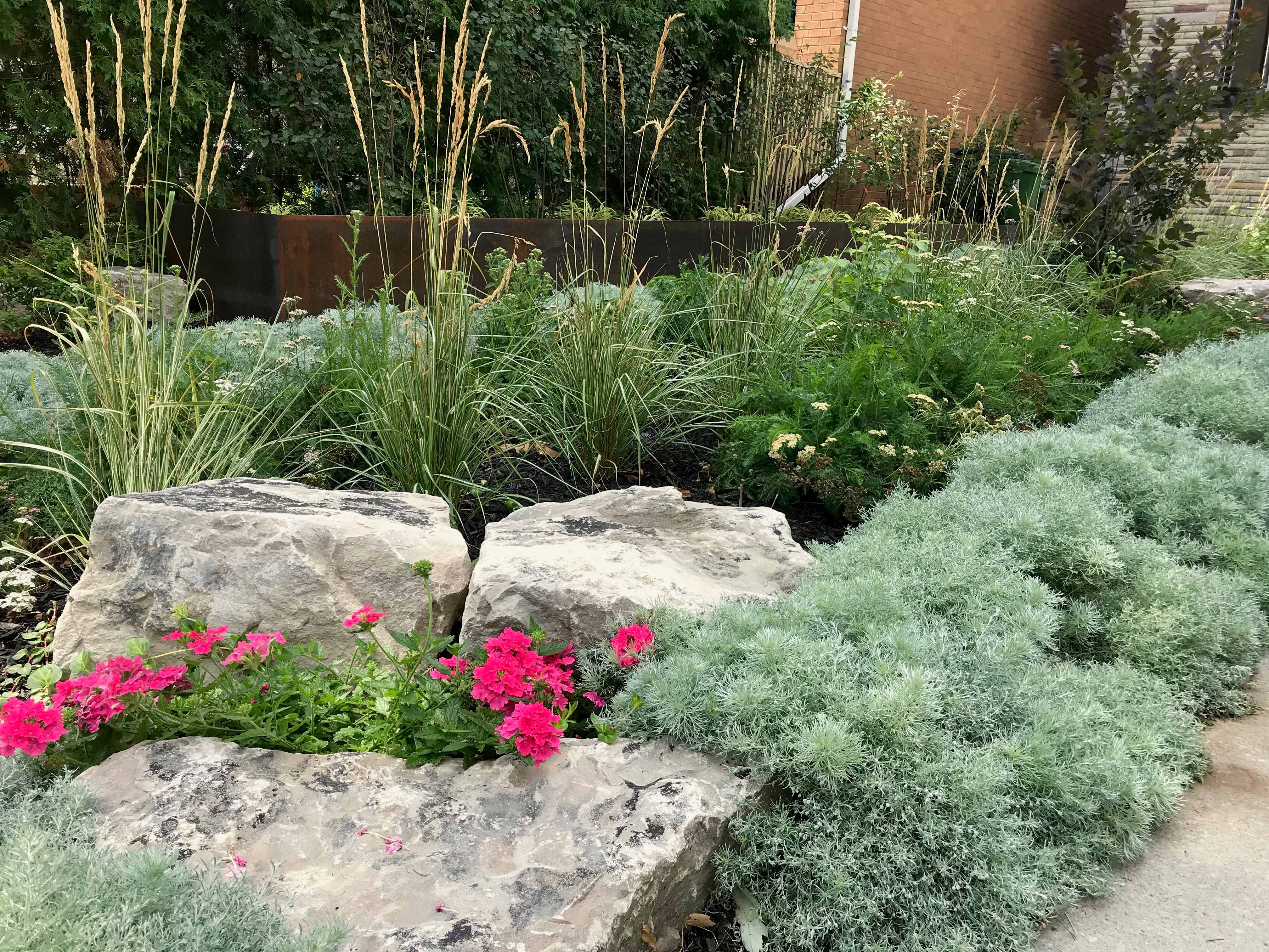 multiple natural stones in native plant garnde