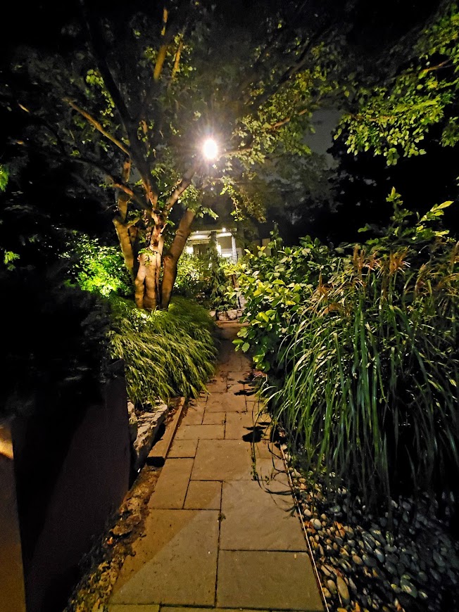 Night shot of the lighting and planter walkway