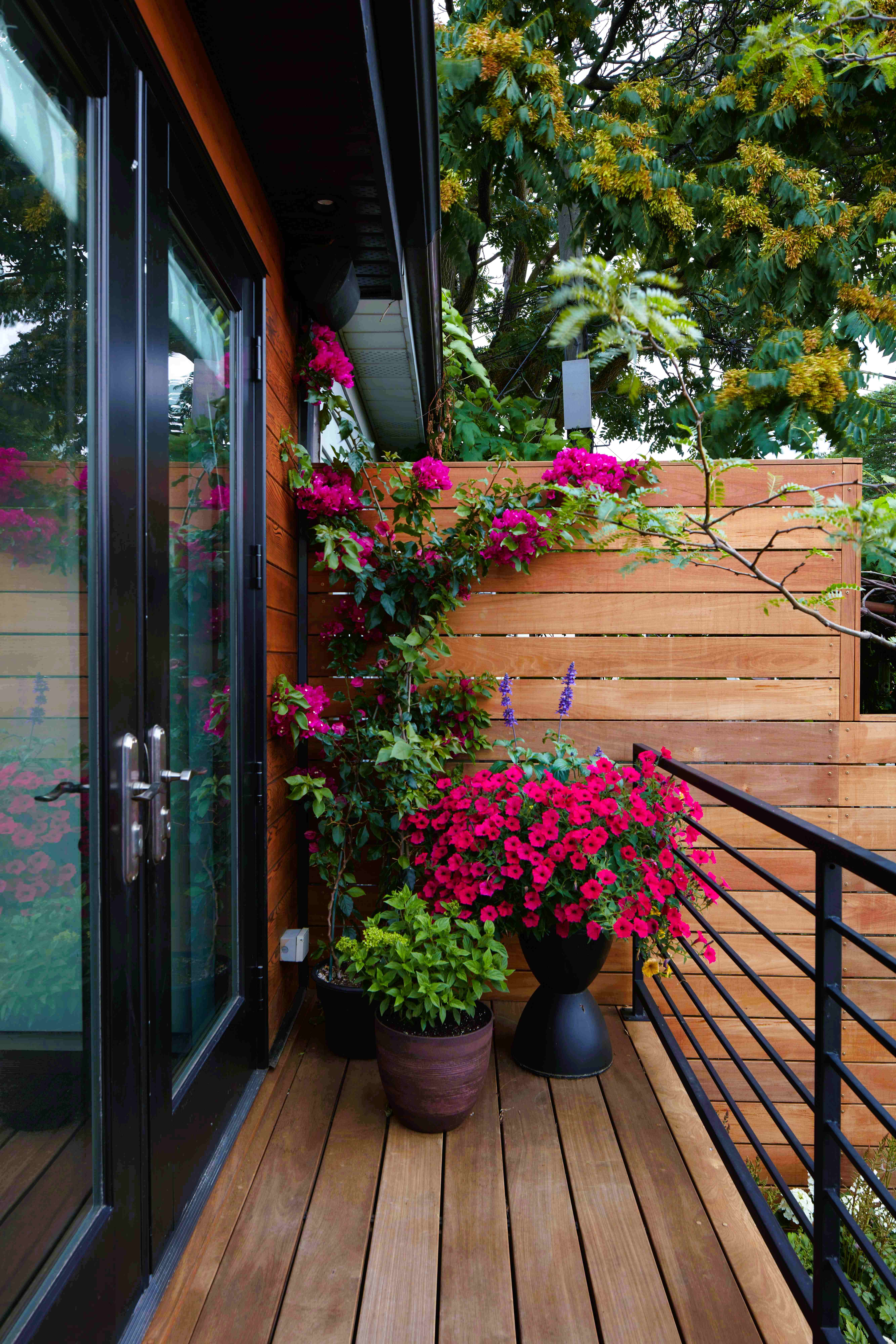 Deck with plants up top