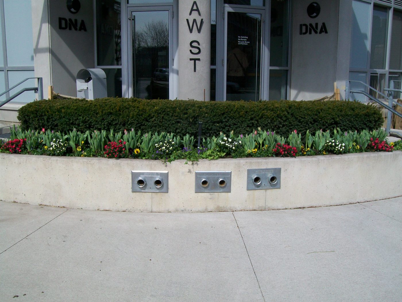 Front building retaining wall / Garden