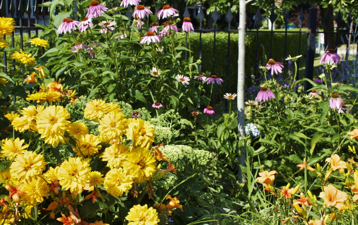 Examples of gardens at the polish credit union