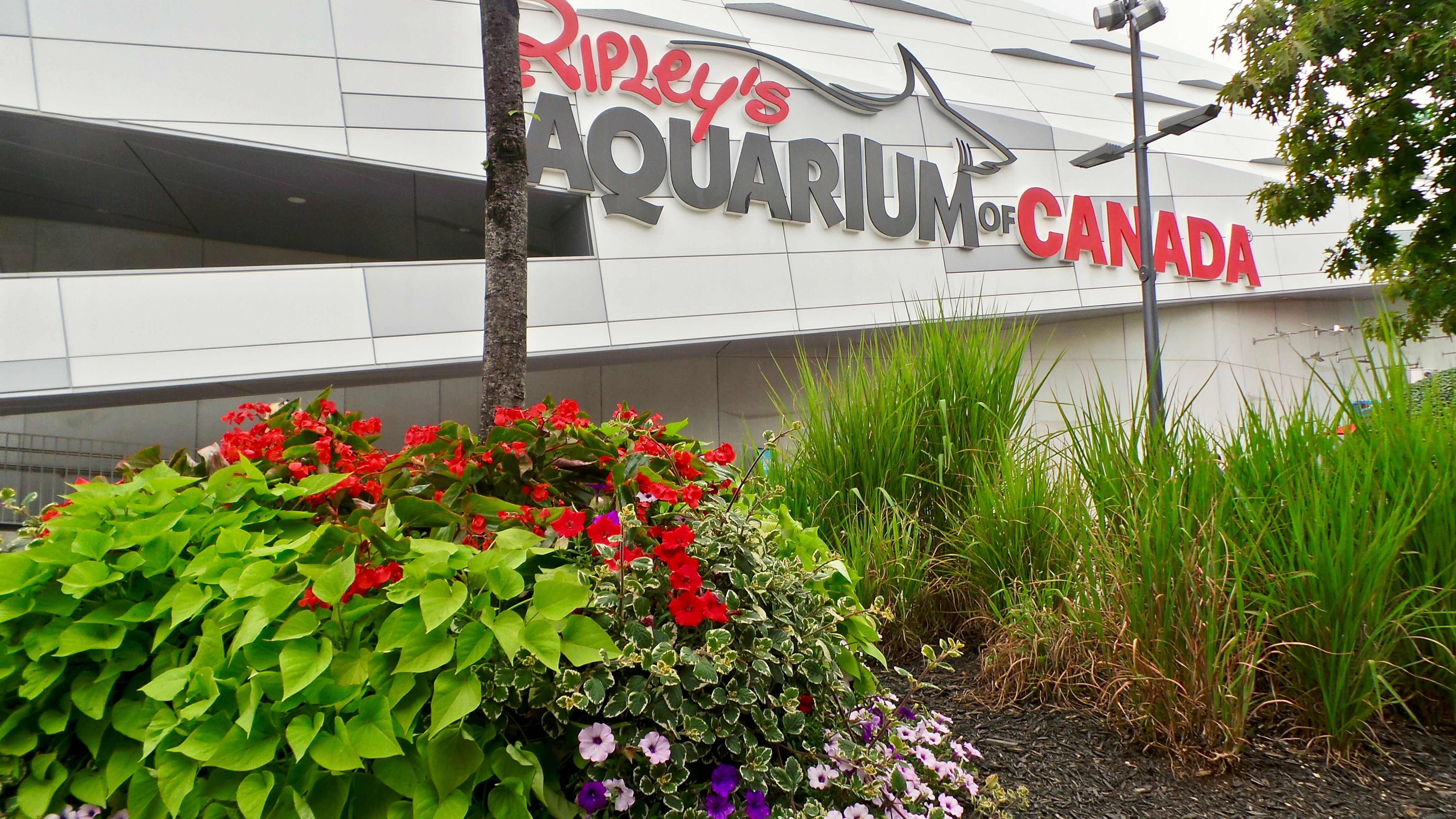 Ripley's Aquarium