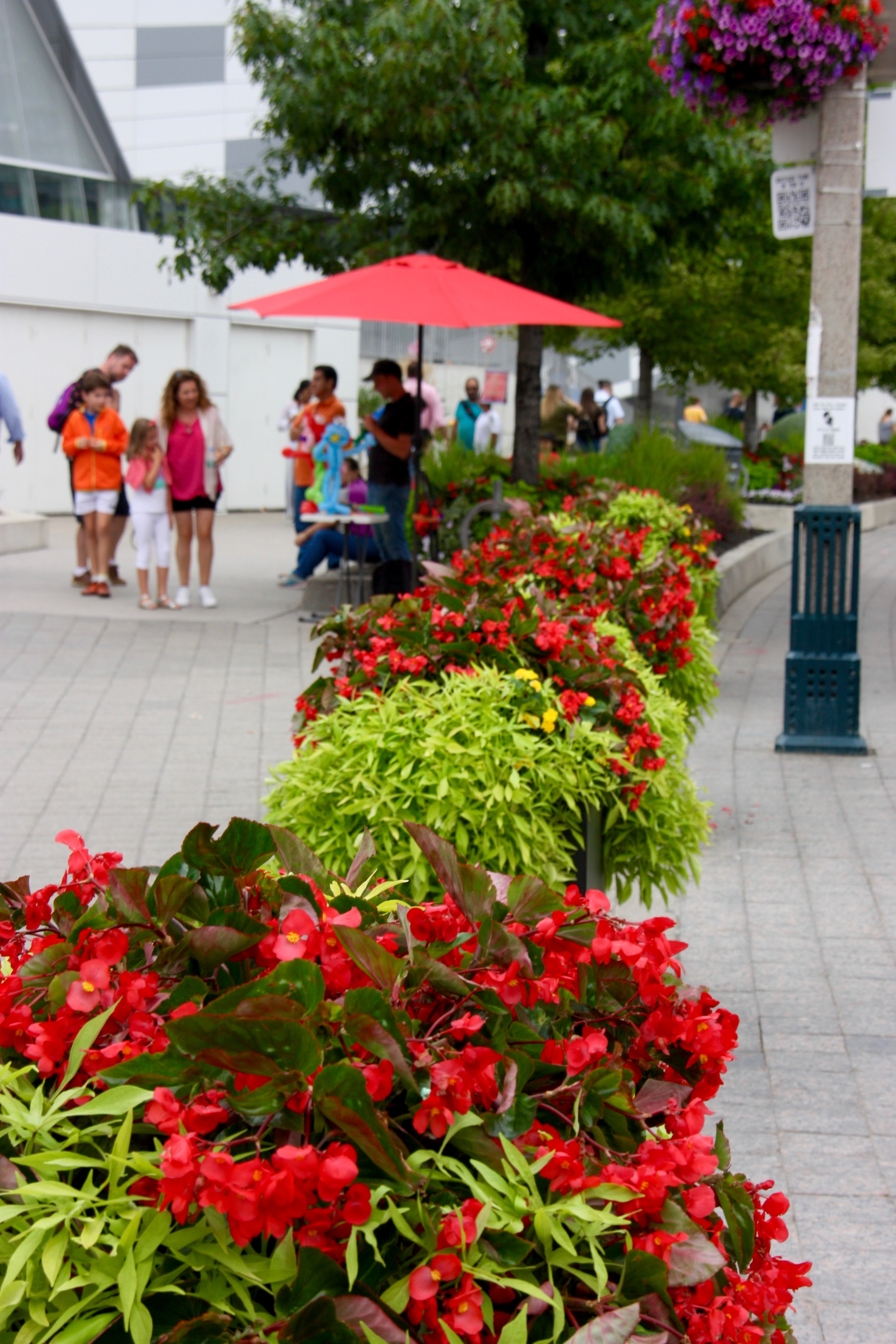 Color matched annuals at downtown location