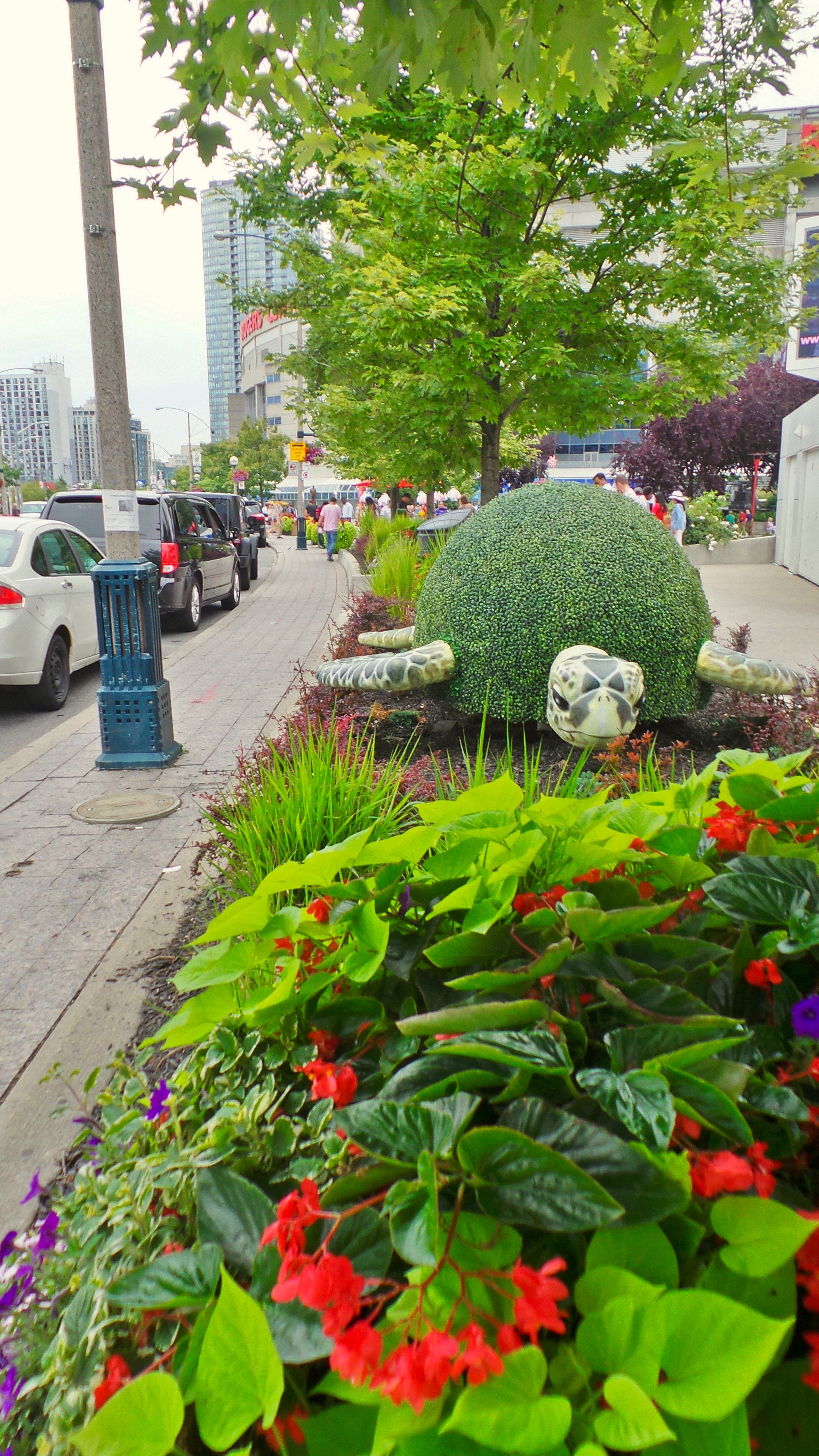 Tree topiary in perennial planted garden beds