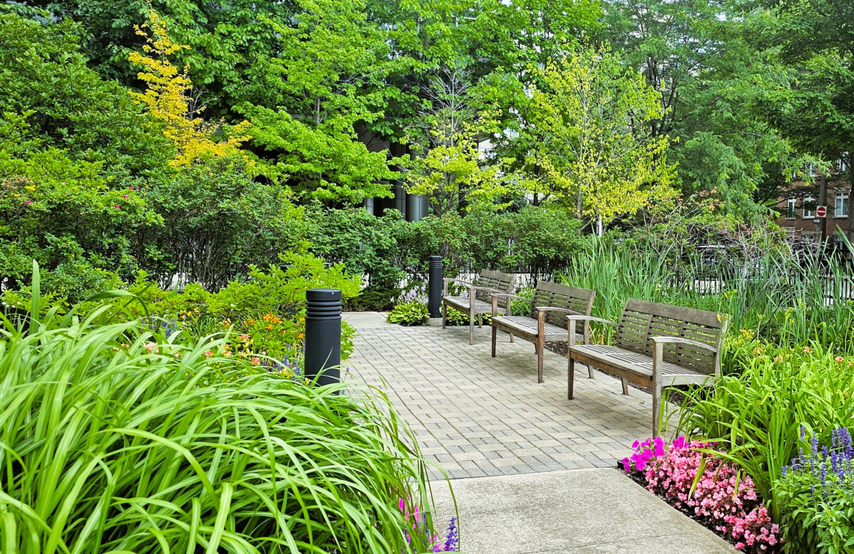Lawn Spaces