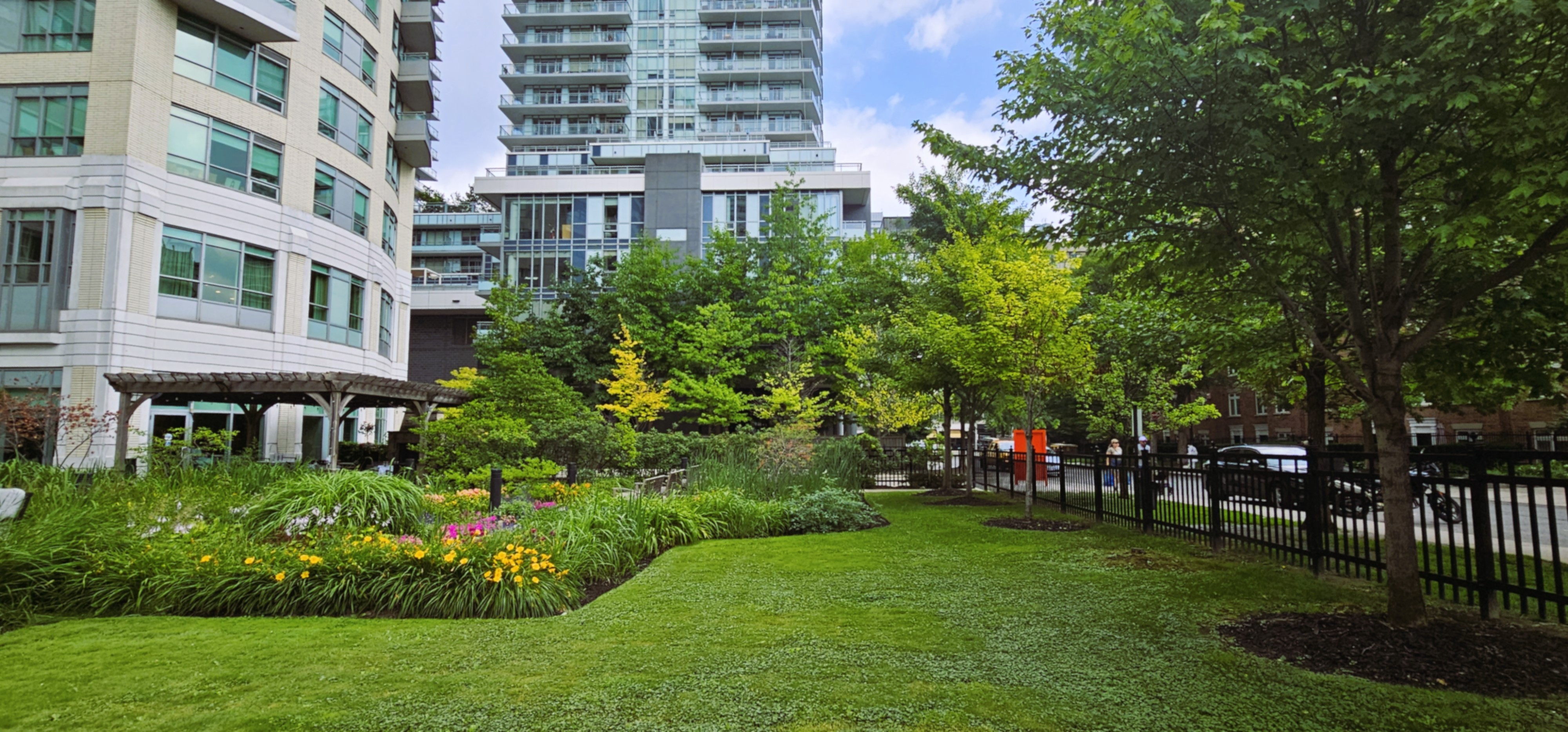 Garden Beds with large grasses